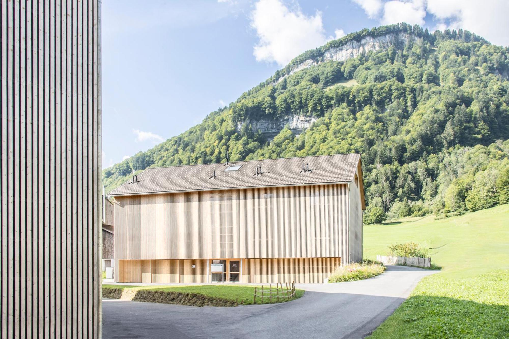 Apartment Waldblick Mellau Exterior photo